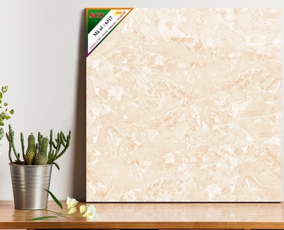 Gạch World Tiles SCT 6317